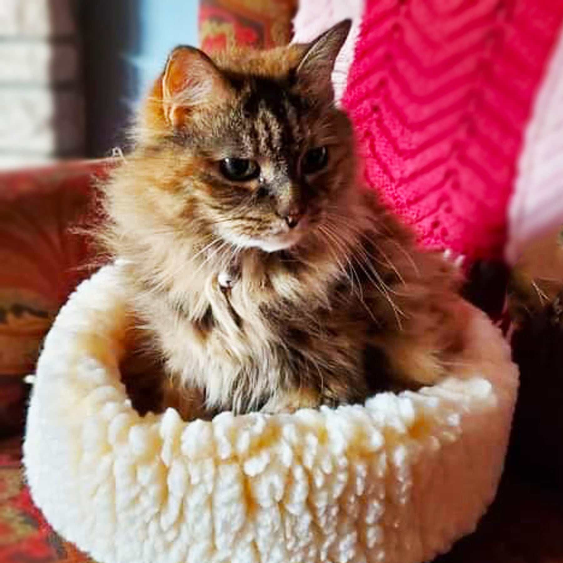 HuggleFleece® HuggleSnuggler™ Bed for cats and small dogs made of plush, durable, machine-washable fabric.
